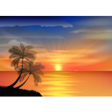  Tapéta Pálmafák9, 350 x 250 cm tapéta, díszléc és más dekoráció