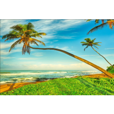  Tapéta Pálmafák a tengerparton, 300 x 200 cm tapéta, díszléc és más dekoráció