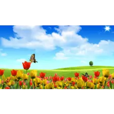  Tapéta Pillangók és tulipánok, 400 x 250 cm tapéta, díszléc és más dekoráció