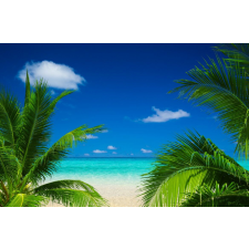  Tapéta Plaja32, 350 x 200 cm tapéta, díszléc és más dekoráció