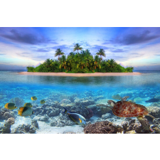  Tapéta Sziget halakkal, 300 x 250 cm tapéta, díszléc és más dekoráció