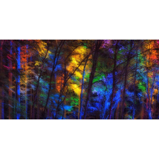  Tapéta Szivárvány az erdőben, 400 x 250 cm tapéta, díszléc és más dekoráció