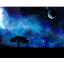  Tapéta Univers9 Fa a csillagok között, 300 x 250 cm tapéta, díszléc és más dekoráció