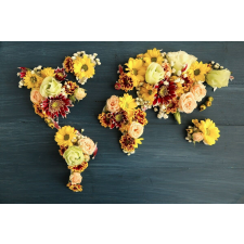  Tapéta Virágkontinensek, 300 x 200 cm tapéta, díszléc és más dekoráció