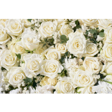  Tapéta Virágok173 Fehér rózsák2, 300 x 250 cm tapéta, díszléc és más dekoráció