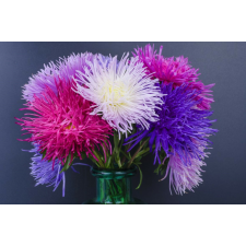  Tapéta Virágok83, 300 x 200 cm tapéta, díszléc és más dekoráció