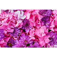  Tapéta Virágok96, 300 x 250 cm tapéta, díszléc és más dekoráció