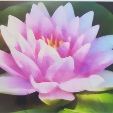  Tavirózsák dekorációs falmatrica 32x69cm tapéta, díszléc és más dekoráció