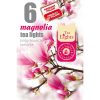  Teamécses illatos magnólia vanília 6 db-os