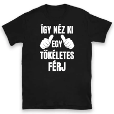 TeeInBlue Egyedi póló - így néz ki egy tökéletes Póló / fekete / L ajándéktárgy