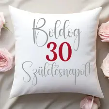 TeeInBlue Születésnapi párna Párna / FEHÉR HÁTOLDAL / antiallergén lakástextília