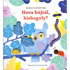 Teknős Könyvek Hova bújtál, kisbagoly? gyermek- és ifjúsági könyv