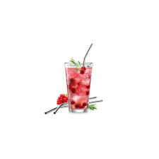 Tescoma myDRINK 4 db rozsdamentes szívósz,tisztító kefével sütés és főzés
