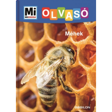 Tessloff - Babilon Kiadó Christina Braun - Rozgonyi Sarolta: Méhek - Mi Micsoda Olvasó gyermek- és ifjúsági könyv