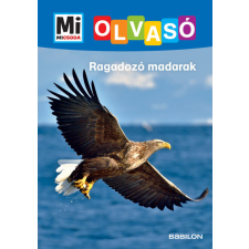 Tessloff És Babilon Kiadói Kft. Ragadozó madarak - Mi MICSODA Olvasó gyermek- és ifjúsági könyv