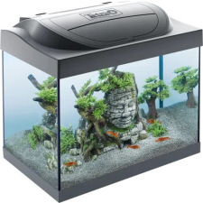 Tetra Starter Line 30 Led komplett felszerelt akvárium 30liter 41x30x25cm (267534) akvárium