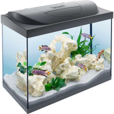 Tetra Starter Line 80 Led komplett felszerelt akvárium 80 liter 61X32x51(274839) akvárium