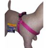  TEXTIL N51 HOBBY HÁM XS-S