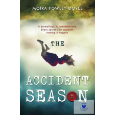  The Accident Season idegen nyelvű könyv