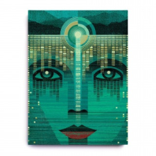  The Great Gatsby: An Illuminated Edition idegen nyelvű könyv