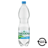 THEODORA Ásványvíz Theodora 1,5l, dús, DRS díjas