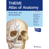 Thieme Publishers New York Head, Neck, and Neuroanatomy (Thieme Atlas of Anatomy) – Erik Schulte,Udo Schumacher,Cristian Stefan