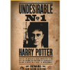thumbs up Thumbsup! Harry Potter "Keresett személy" - 50 darabos puzzle