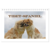  Tibet-Spaniel (Tischkalender 2026 DIN A5 quer), CALVENDO Monatskalender – Calvendo,Antje Lindert-Rottke