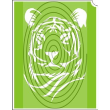  Tigris fej (css_orias_0002) csillámtetoválás