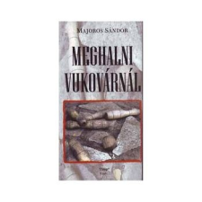 Timp Kiadó Meghalni Vukovárnál szépirodalom