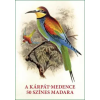 Tinta Könyvkiadó A Kárpát-medence 50 színes madara