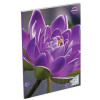 Tip Top T-creativ: négyzetrácsos füzet, 27-32, a5 - lila virág mintás
