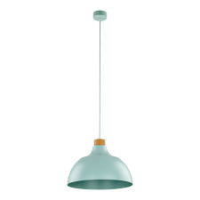 TK Lighting Cap zöld függesztett lámpa (TK-5901) E27 1 izzós IP20 világítás