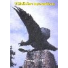 Töhötöm nyomában - Várnagy Enikő