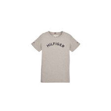 Tommy Hilfiger Rövid ujjú pólók U HILFIGER ARCHED TEE Szürke 4 éves gyerek póló