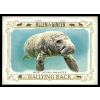 Topps 2021-23 Topps Allen and Ginter Rallying Back #RB-10 West Indian Manatee