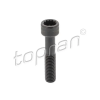 TOPRAN Csavar, féltengelyperem TOPRAN 120 024