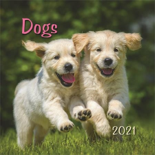 TOPTIMER Naptár, fali, TOPTIMER, &quot;Dogs&quot; naptár, kalendárium