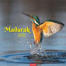 TOPTIMER Naptár, fali, TOPTIMER &quot;Madarak&quot; naptár, kalendárium