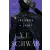 Tor Books A Conjuring of Light | SCHWAB V E