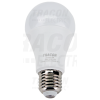 TRACON Gömb burájú LED fényforrás SAMSUNG chippel230V,50Hz,12W,3000K,E27,1160 lm,200°,A60,SAMSUNG chip, EEI=F