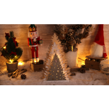 TRACON LED karácsonyi fenyő, fa, elemesTimer 6+18h,13LED, 3000K, 2xAA karácsonyi dekoráció
