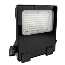  Tracon RHISN25100W LED fényvető, szimmetrikus kültéri világítás