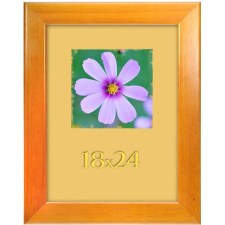 Tradag Color 18 × 24 cm, oranžový fényképkeret