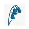 TRADER KFT - INDIEGO The Bluebells - This Is (CD)