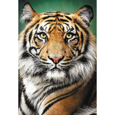 Trefl 26204 kirakós játék 1500 db Állatok (26204 TR) puzzle, kirakós