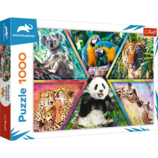 Trefl Animal Planet: Állati királyságok 1000db-os puzzle - Trefl puzzle, kirakós