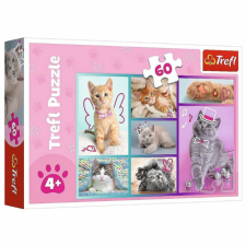 Trefl Aranyos cicák 60 db-os puzzle – Trefl puzzle, kirakós