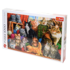 Trefl Macska találkozó 1000db-os puzzle (10555T) (5900511105551) puzzle, kirakós