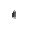 Trio BARCELOS R26446232 kültéri falikar, 2x10W GU10, IP44